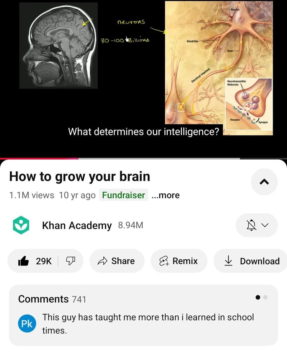 Media 1